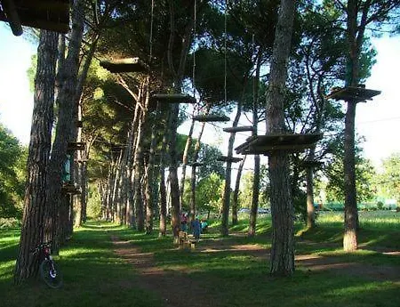 Interno 11b